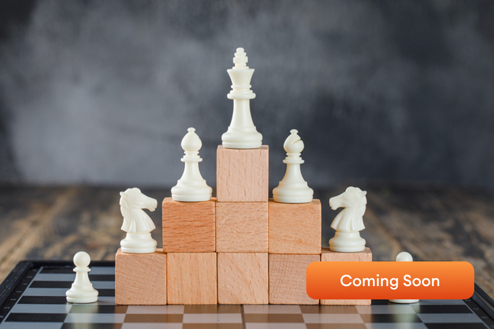 Ten-Year Strategy (2024–2033) (Coming Soon)